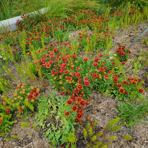 Museum «Anacostia Community Museum», reviews and photos, 1901 Fort Pl SE, Washington, DC 20020, USA