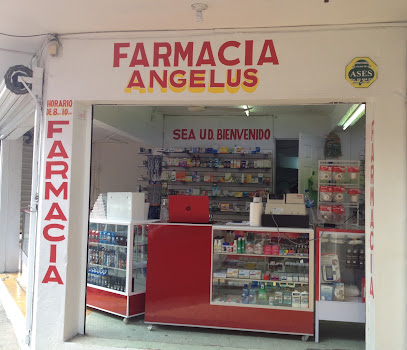 Farmacia Angelus, , Álamo
