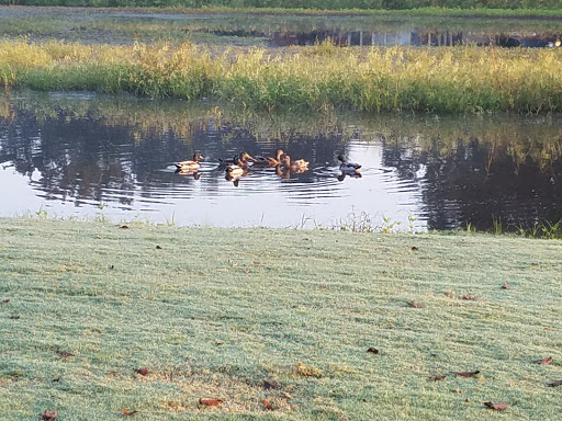 Golf Club «Wedgewood Golf Club», reviews and photos, 5206 Tournament Dr, Olive Branch, MS 38654, USA