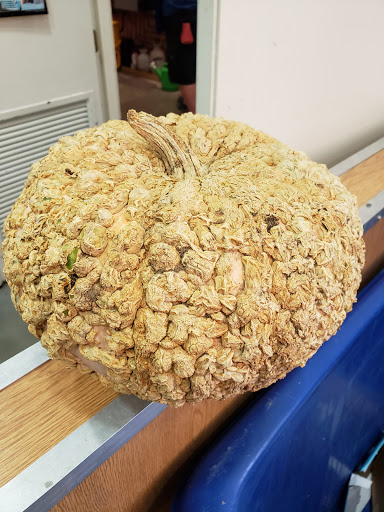 Home Improvement Store «Menards», reviews and photos, 2200 Westridge Rd, New Ulm, MN 56073, USA