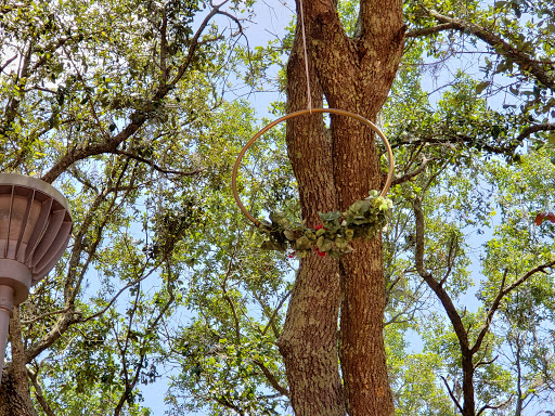 Community Center «University Area Community Center», reviews and photos, 14013 N 22nd St, Tampa, FL 33613, USA