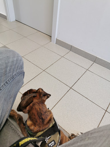 Paul Kornat veterinarian unter Duisburg, Nordrhein-Westfalen