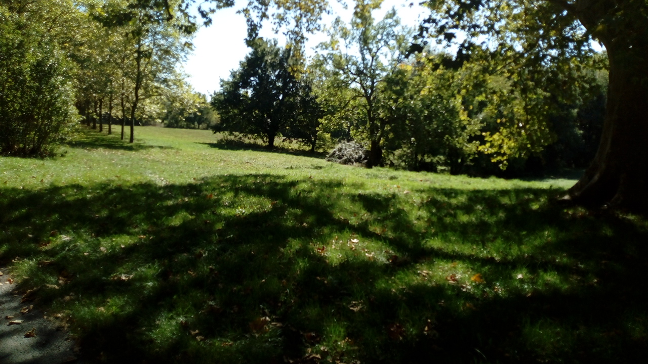 Photo n° 11 de l'avis de Delbart.e fait le 29/09/2019 à 12:17