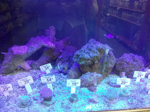 Pet Supply Store «Petco Animal Supplies», reviews and photos, 3577 S Rainbow Blvd, Las Vegas, NV 89103, USA