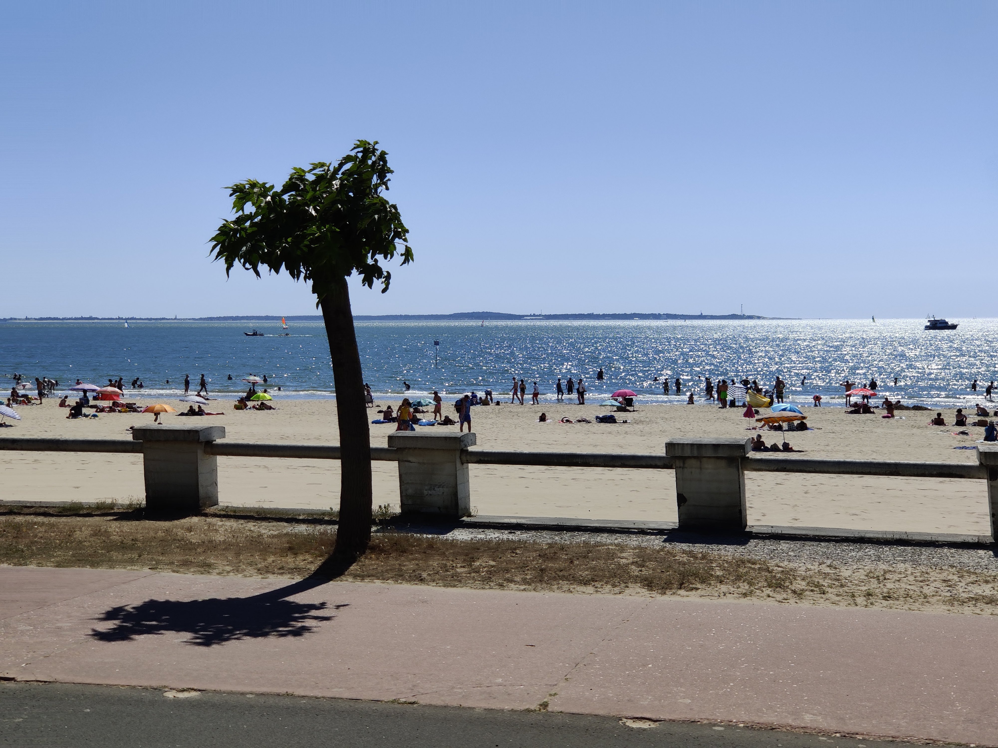 Photo n° 7 de l'avis de Josselin.o fait le 22/07/2020 à 19:13