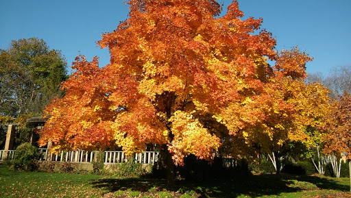 Water Park «Raging Waves Waterpark», reviews and photos, 4000 N Bridge St, Yorkville, IL 60560, USA