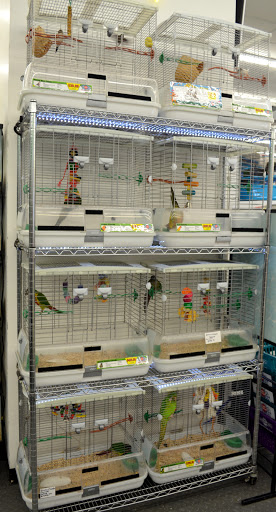 Pet Store «B & B Pet Stop, Inc.», reviews and photos, 5035 Cottage Hill Rd, Mobile, AL 36609, USA