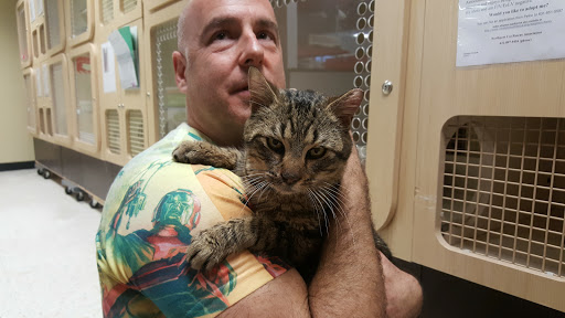 Pet Supply Store «Petco Animal Supplies», reviews and photos, 30 Veterans Memorial Hwy, Commack, NY 11725, USA