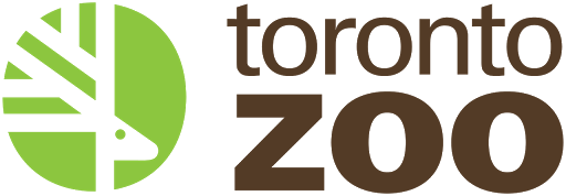 Amusement Park «Fantasy Island Amusement Park», reviews and photos, 320 7th St, Beach Haven, NJ 08008, USA