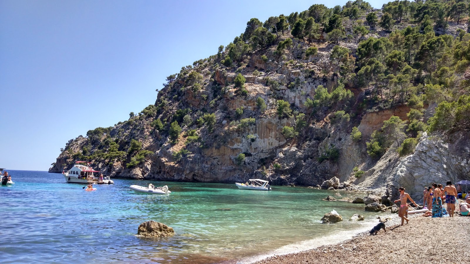 Cala Blanca'in fotoğrafı vahşi alan
