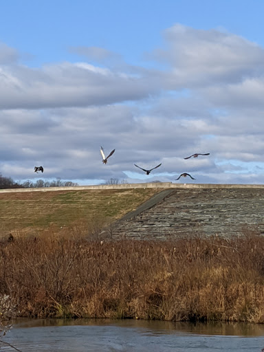 Park «Smith Lake Park», reviews and photos, 370 Doc Stone Rd, Stafford, VA 22556, USA