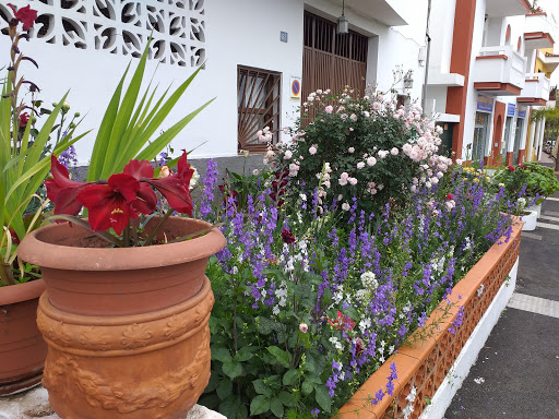 Gastrobar AIE en El Sauzal