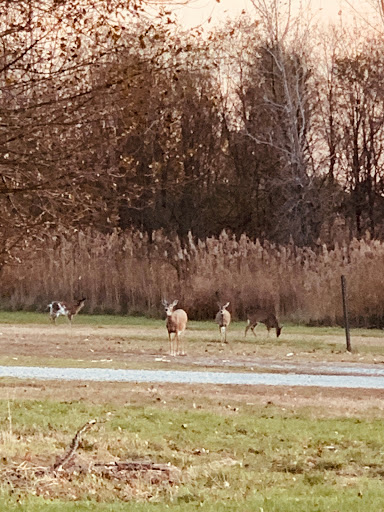 Golf Course «RiverWinds Golf & Tennis Club», reviews and photos, 270 Eagle Point Rd, West Deptford, NJ 08086, USA