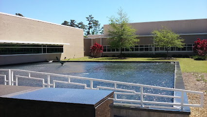 Center For Marine Science