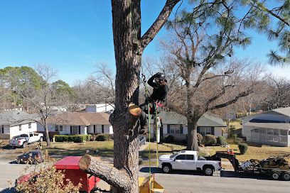 Clean Edge Tree Service & Removal #2