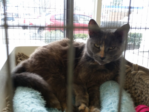 Pet Supply Store «Pet Supplies Plus», reviews and photos, 1235 Western Ave #6, Albany, NY 12203, USA