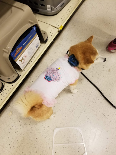 Pet Supply Store «PetSmart», reviews and photos, 88 Shops at 5 Way, Plymouth, MA 02360, USA