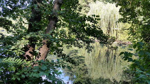 Park «Bronx River Park», reviews and photos, 2 Bronx River Pkwy, Scarsdale, NY 10583, USA