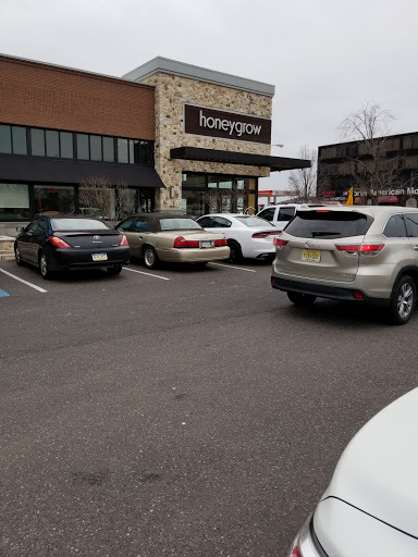 Shopping Mall «Bala Cynwyd Shopping Center», reviews and photos, 59 E City Ave, Bala Cynwyd, PA 19004, USA