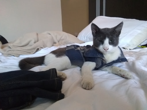 Grocery Store «Superior Grocers», reviews and photos, 1858 Durfee Ave, South El Monte, CA 91733, USA