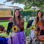 Photo n°3 de l'avis de Daniele.' fait le 14/06/2022 à 14:24 sur le  Agriturismo Vignarello à Tornaco