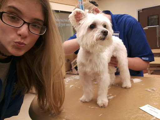 Pet Supply Store «PetSmart», reviews and photos, 2000 Clements Bridge Rd, Woodbury, NJ 08096, USA