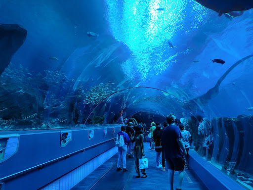 Aquarium «Georgia Aquarium», reviews and photos, 225 Baker St NW, Atlanta, GA 30313, USA