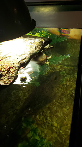 Pet Supply Store «Pet Supplies Plus», reviews and photos, 1800 County Rd 42 W, Burnsville, MN 55337, USA