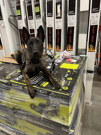 Home Improvement Store «The Home Depot», reviews and photos, 600 Connecticut Ave, Norwalk, CT 06854, USA