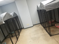 Brittney's Bark And Stay - Photo 4 - Car repair in Fresno, CA, Fresno