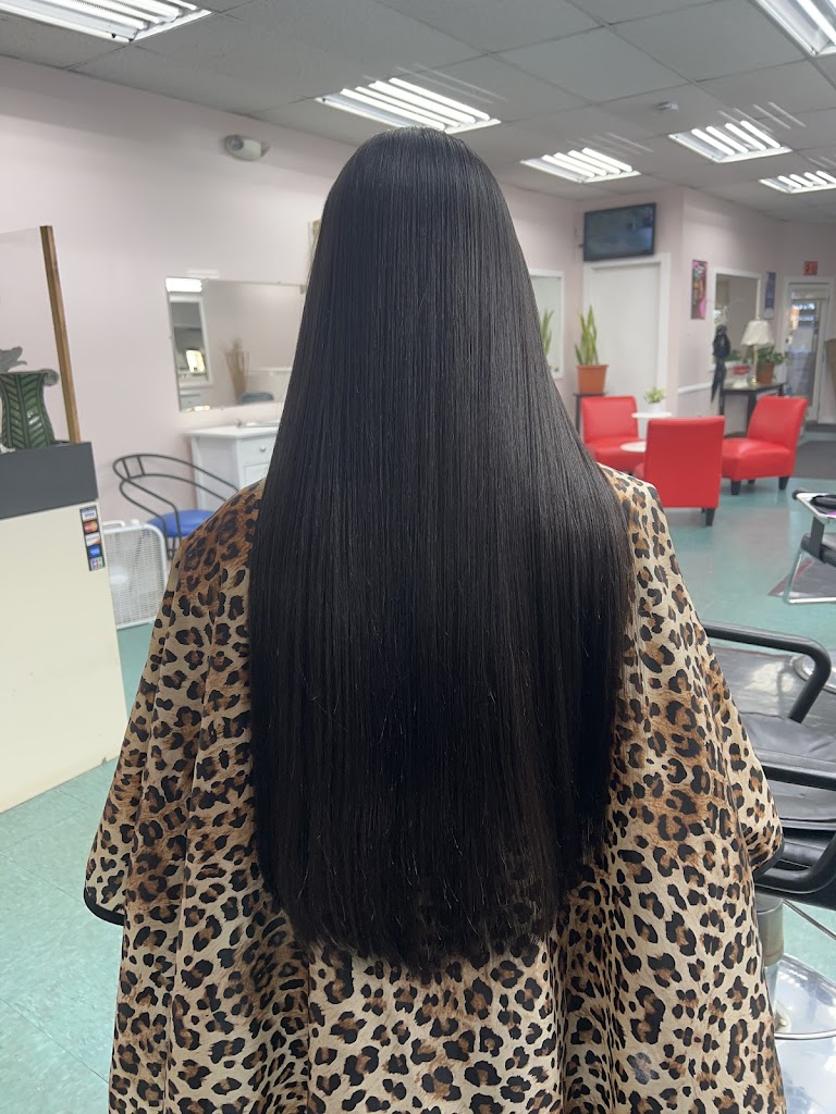 The Dominican Styles Hair Salon - Detroit, MI 48210 - Services and Reviews