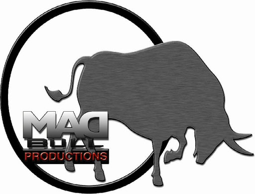 Mad Bull Productions Recording Studios image 2