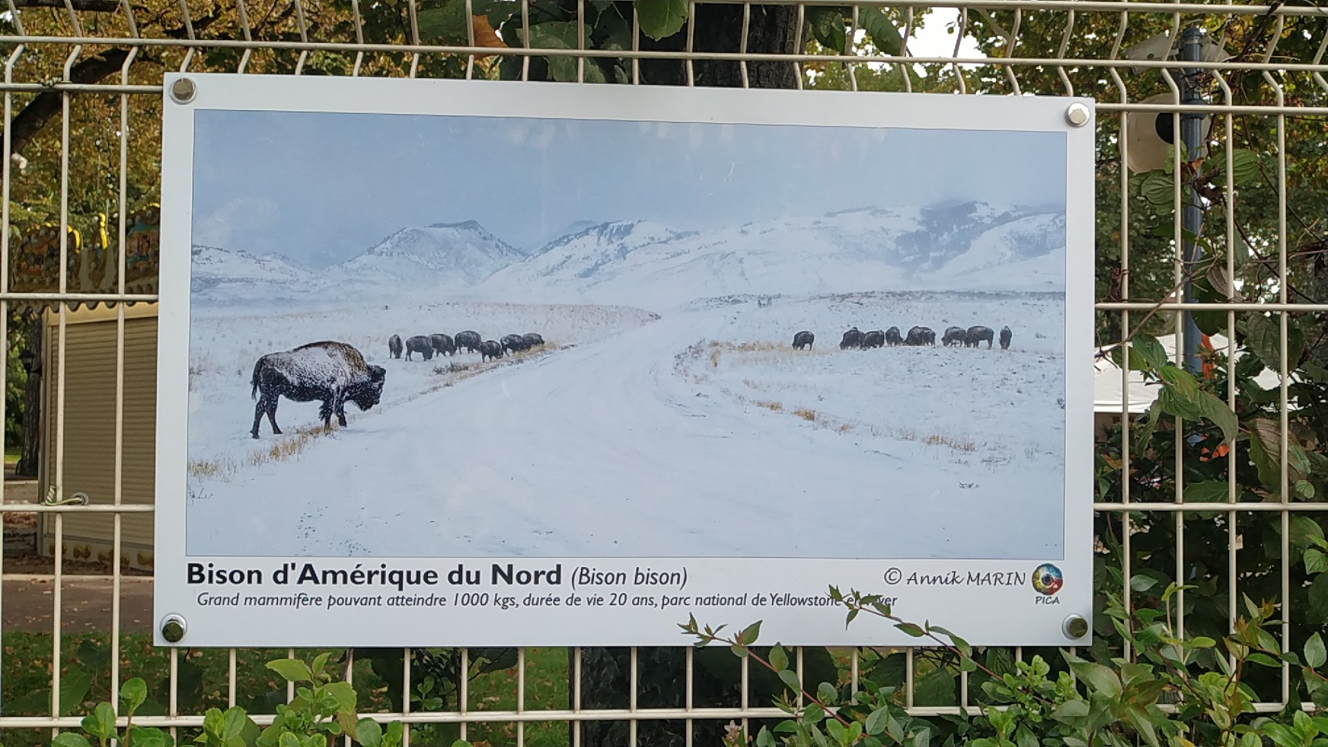 Photo n° 7 de l'avis de Mary-an.r fait le 17/10/2021 à 11:49