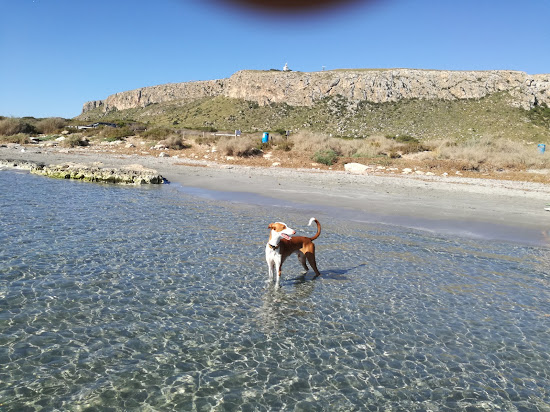 Santa Pola dog beach