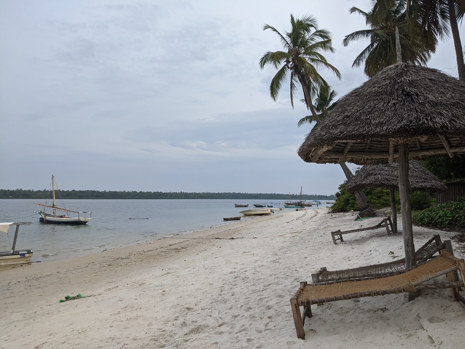 Zdjęcie Plaża na wyspie Mafii - popularne miejsce wśród znawców relaksu