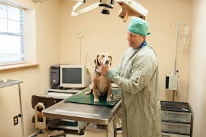 Westside Animal Hospital