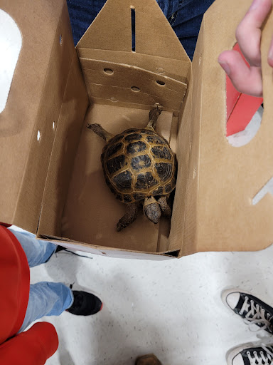 Pet Supply Store «PetSmart», reviews and photos, 9870 Brook Rd, Glen Allen, VA 23059, USA