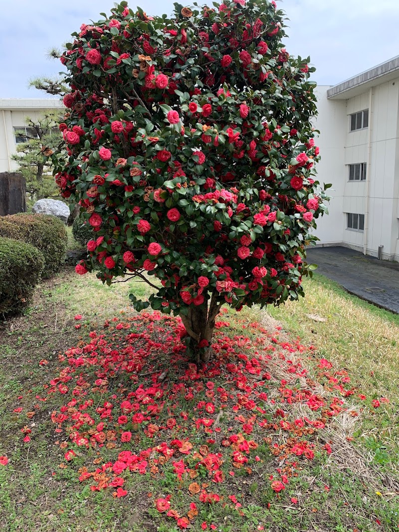 前橋市立粕川中学校