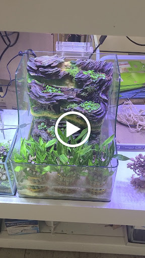 Pet Store «Pet Town», reviews and photos, 7804 Florence Ave, Downey, CA 90240, USA