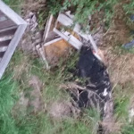 Photo n°4 de l'avis de Luggi. fait le 29/08/2018 à 14:15 sur le  Landgasthof Mayerhofer à Hinterschmiding