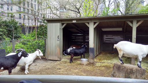 Zoo «Central Park Zoo», reviews and photos, E 64th St & 5th Ave, New York, NY 10021, USA