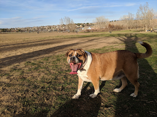 Dog Park «Grandview Dog Park», reviews and photos, 17500 E Quincy Ave, Aurora, CO 80015, USA