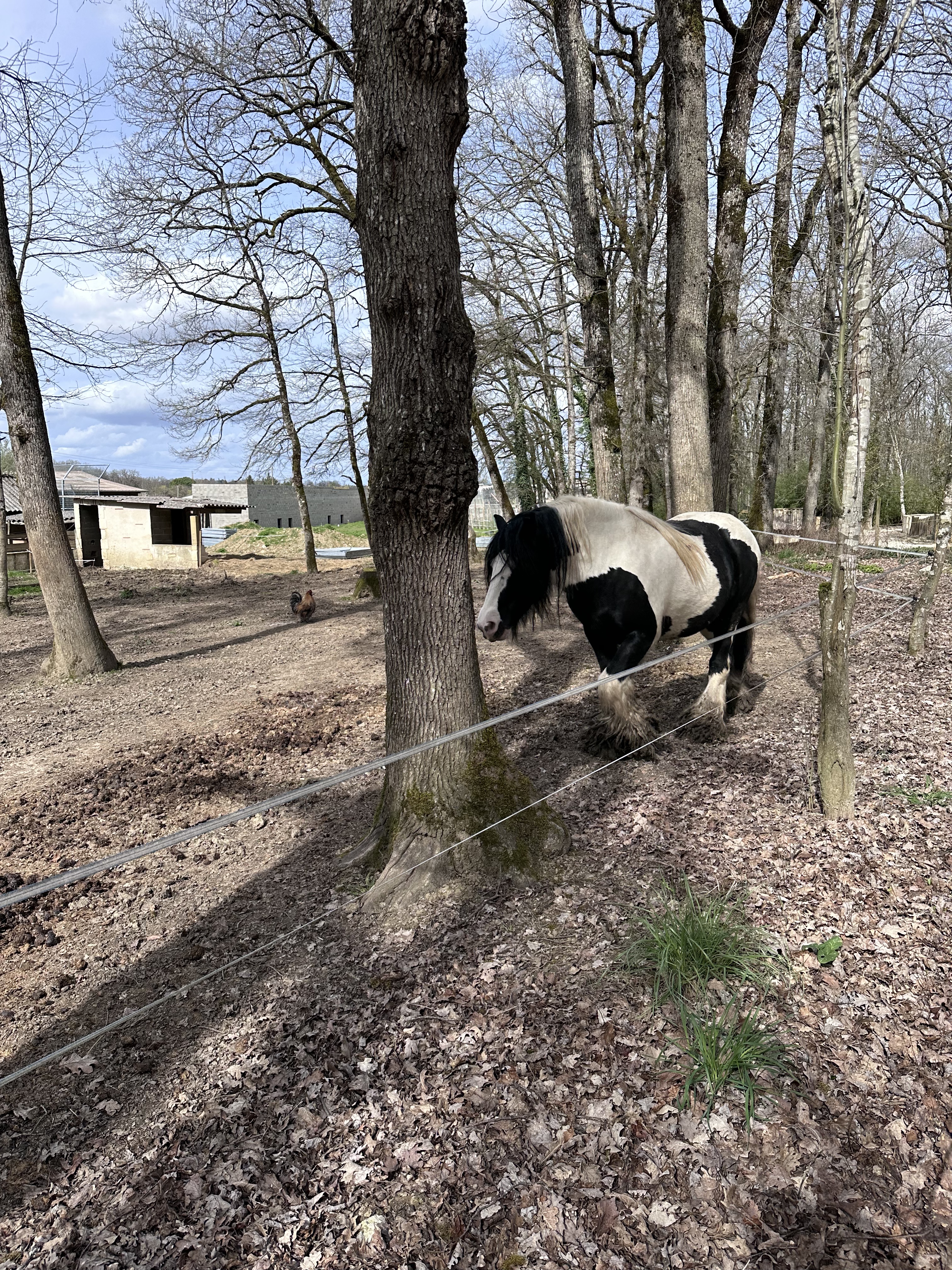 Photo n° 17 de l'avis de Victoria. fait le 25/03/2023 à 17:18