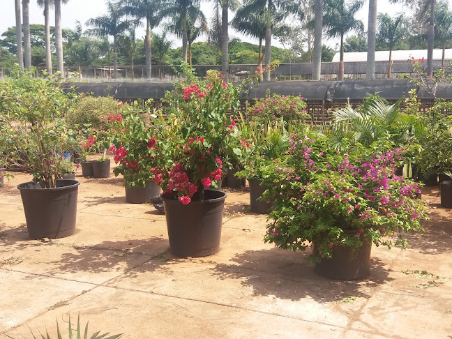 Horário de funcionamento de Associação Pontal Flora