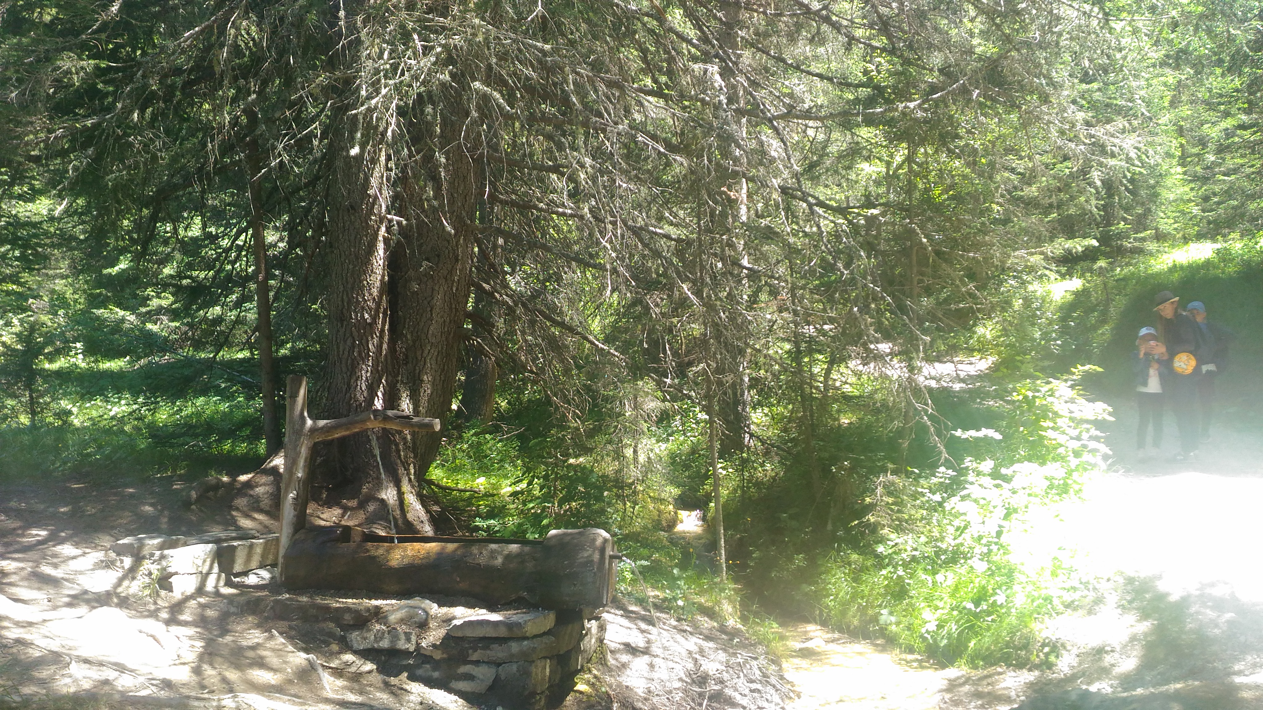 Photo n° 8 de l'avis de maylis.a fait le 15/07/2017 à 14:22