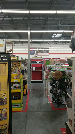 Home Improvement Store «Tractor Supply Co.», reviews and photos, 25606 S Arizona Ave, Chandler, AZ 85248, USA