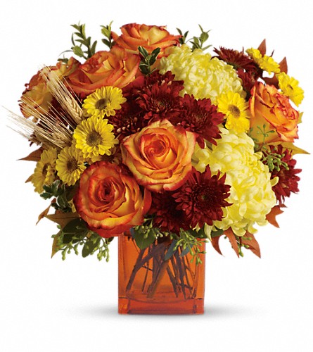 Florist «Creation Station Flowers & Gifts», reviews and photos, 12049 SW 117th Ave, Miami, FL 33186, USA