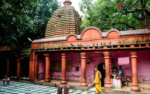 Maa Kalyaneshwari Temple image