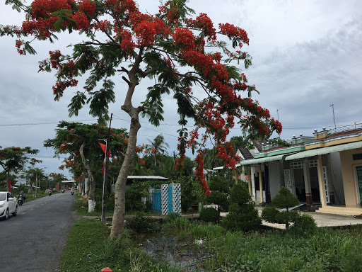 Nhà Nghỉ Hạnh Phúc