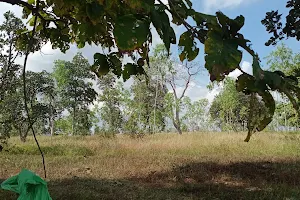 Lakhampur park (Somanna Haritha Vanam) image